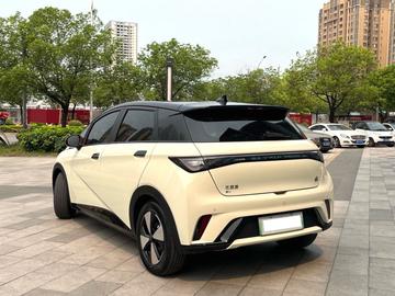 BYD Dolphin 420km Fashion - 2