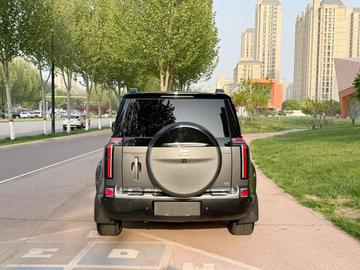 Polestone 01 All-in-One7-Seater Long Range Edition - 3
