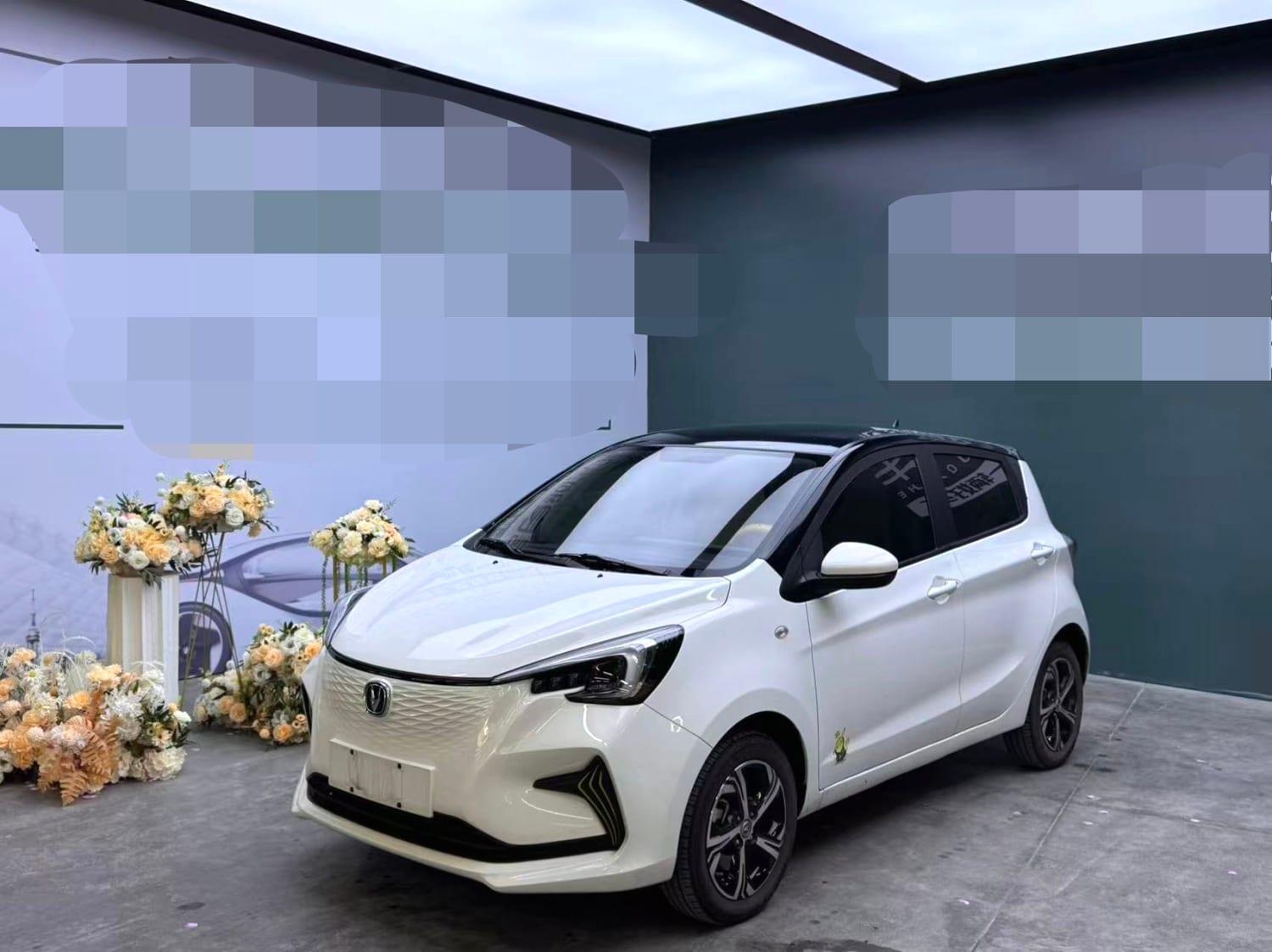2020 Changan Benben E-Star Heartbeat Edition Used SUV — image 1