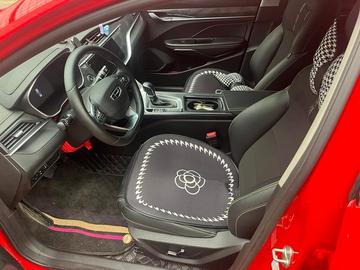 Geely Binrui 1.4T Asian Games Edition - 4