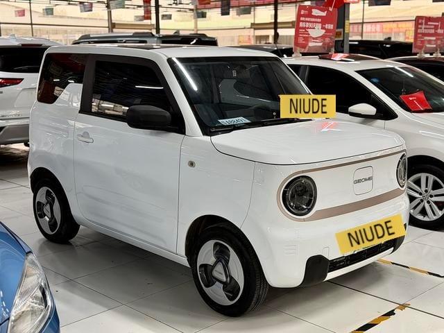 2023 Geely Panda 200km Panda Mini Smart Panda Used Hatchback — image 1
