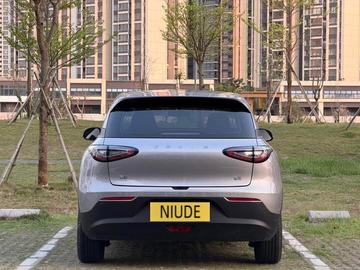 Geely Star Wish 310km Dream Edition - 3