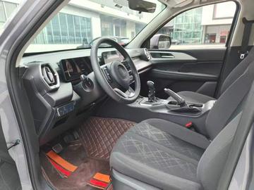GWM Jin Gang Poer 2.0T Gasoline AWD Elite Flatbed - 5